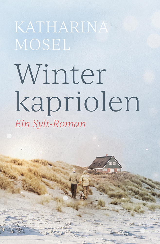 Winterkapriolen Sylt Roman Cover